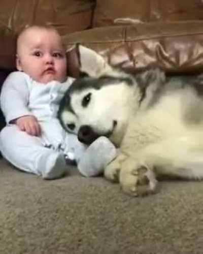 Always protecting the tiny human