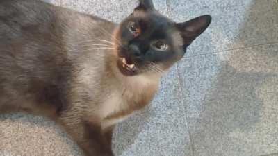 We haven't seen each other since January, and he has a lot to say