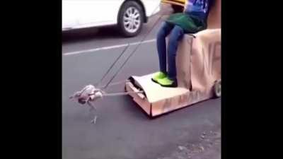 Gay spider Brothel user meetup