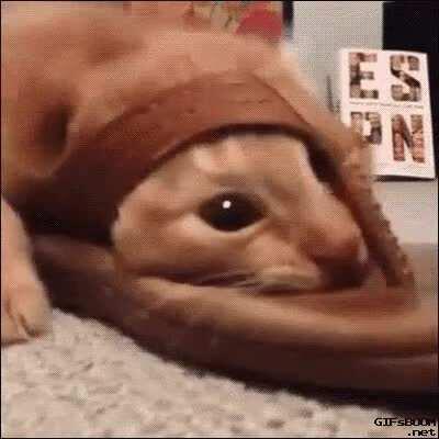 I can go faster if I go *in* the slipper