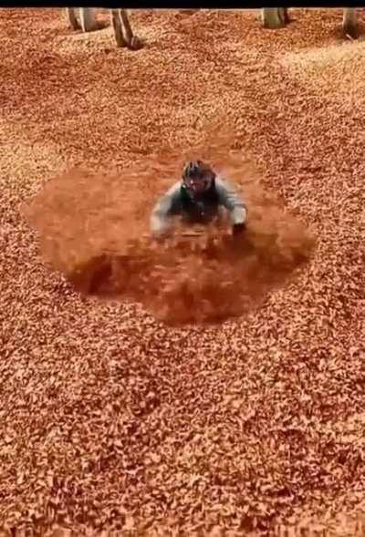 Bicycle through leaf flood