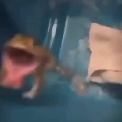 ~I'm shooting like a star~