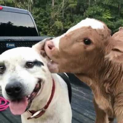 Guess you guys would appreciate this