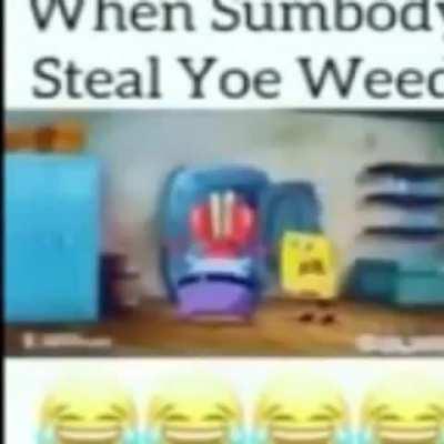 reposting stolen memes only when i want 1