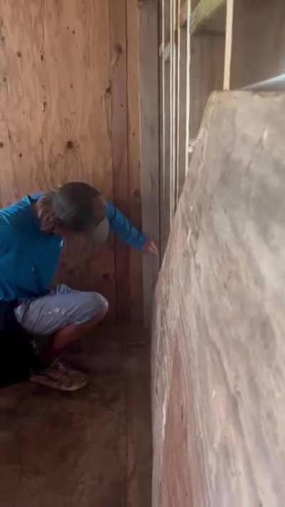 hey i love your dildo what do u do for your living