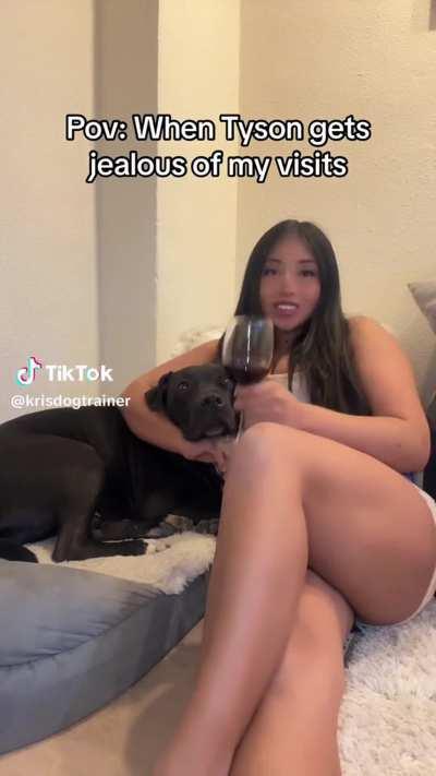 @krisdogtrainer We are family