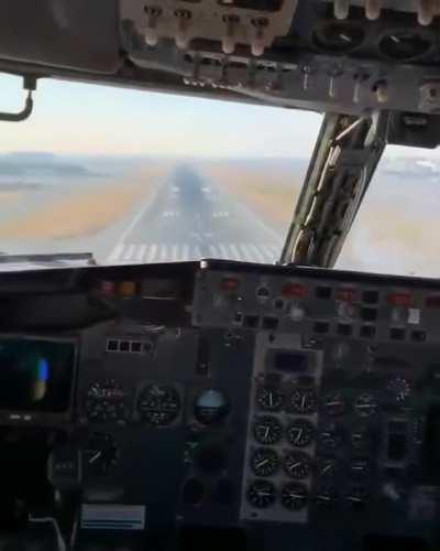 Bird slams into plane upon landing.