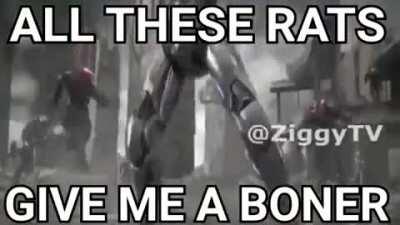 rat moment 😳😏😔😎😎😋