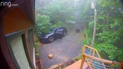 Just taking some apples to the car...