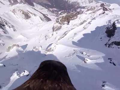 Полет над снежными пиками, взгляд орла