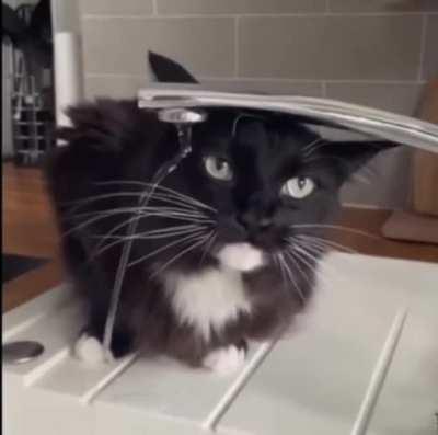 she likes to drink air 😋