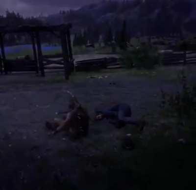 Apache roof execution