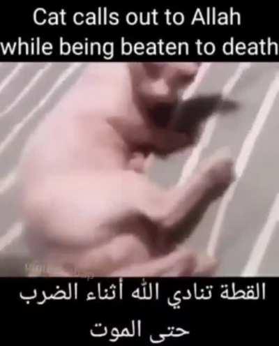 💥allah💥allah💥allah💥الله العظيم