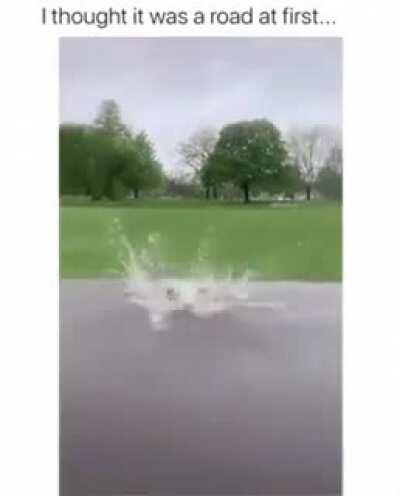 Could use some work on the backflip, but I give it a 7/10