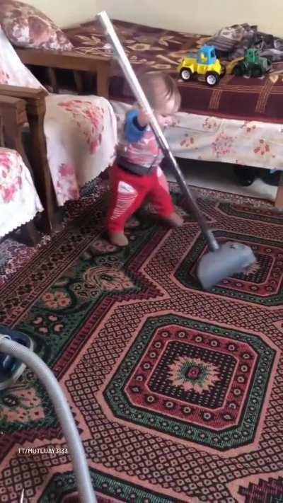 Adorable? Yes. Cute? Yes. Stupid? Hell yeah