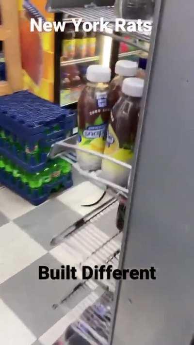 Never stepping in there again!