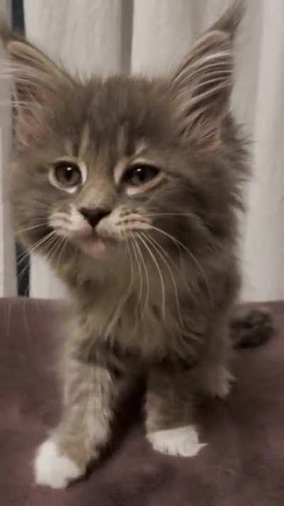 She just woke up, I think she wants some lovin’