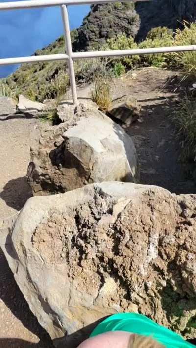 Sucking his cock in a national park? ✅️