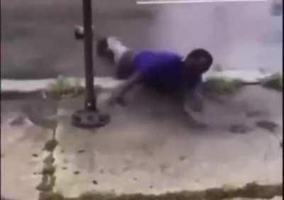 Ragdoll in real life