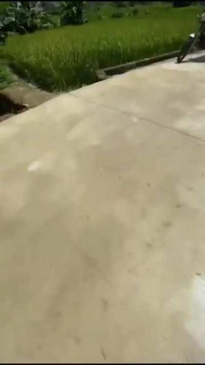 To capture a stunning footage