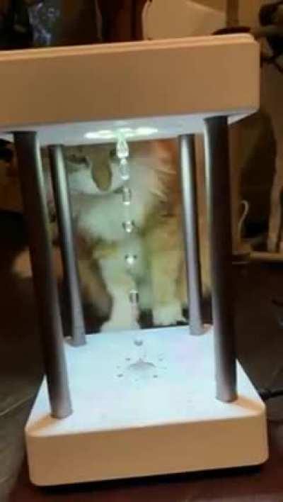 Somebody fuckin explain and get me this fuckary