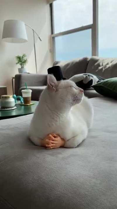 ask him, he has deals for you