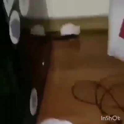 El edgy llendo a matar a la peky