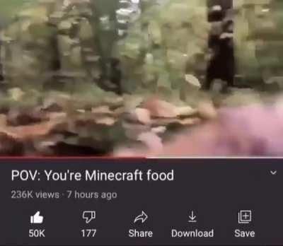 pov eres una comida de minecraft
