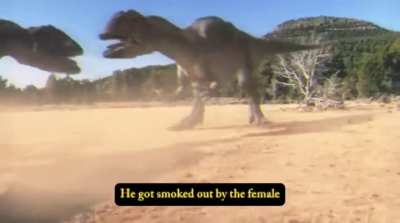 Big al slander because he’s over glazed