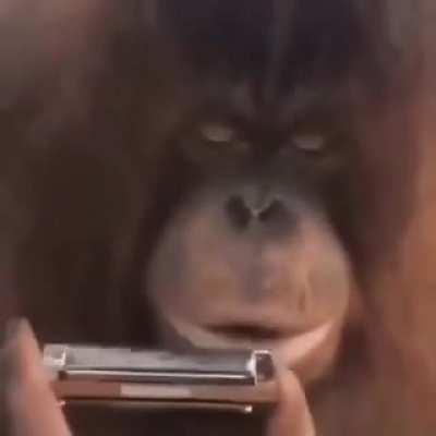 do i even have to say anything here