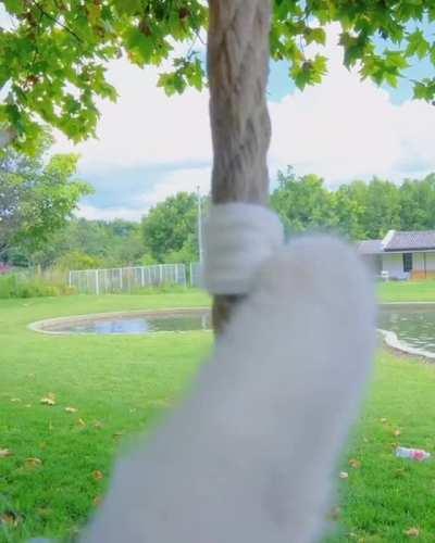 Knitting an entire outfit for his cat