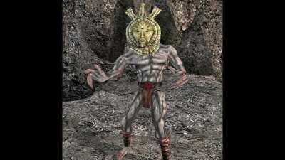 When the Nerevarine is an argonian