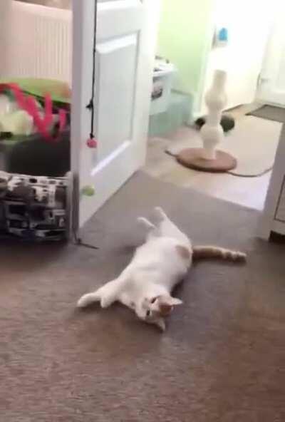 Oscar for the most dramatic performance goes to