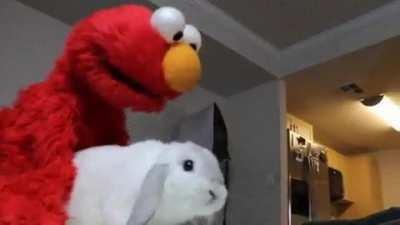 elmo... noooo