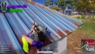 Fall down 7 times get up 8