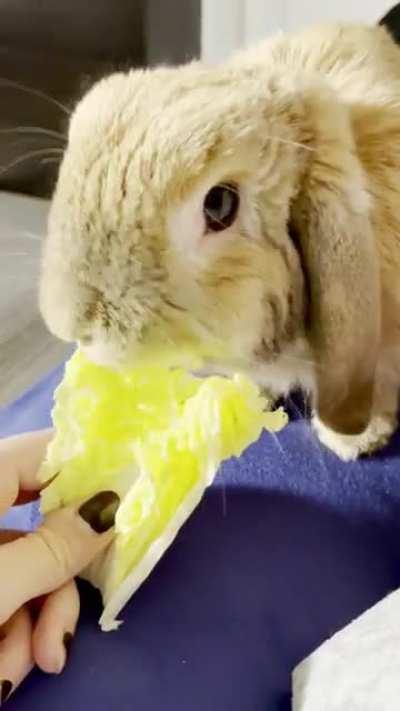 He got up there SO fast