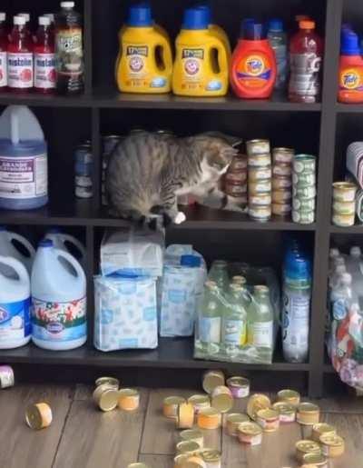 This asshole snuck into the store and started dumping canned goods.