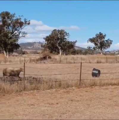 Cuando estoy imaginando lo que pude haber contestado en una discusión que perdí, pero vuelvo a perder en mi discusión: