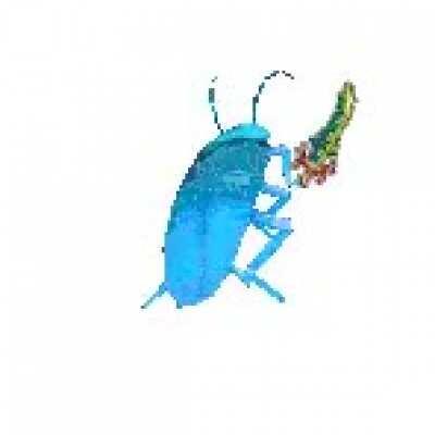 Terrarian rgb roach, first time using photoshop sorry for bad quality.