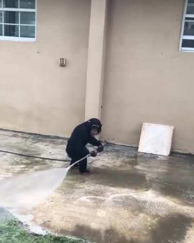 Monke does powerwash better than stupid h*man