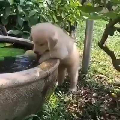 It's summer time 🤗❤🤗