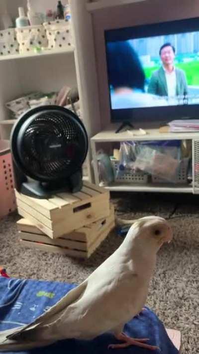 he can’t stop singing the happy birthday song now 😂