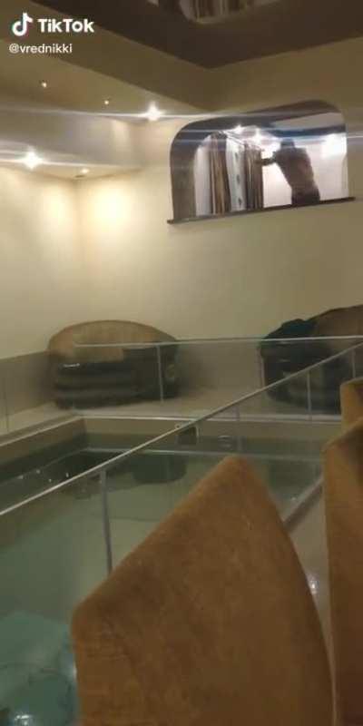 Diving into a glass pool fencing