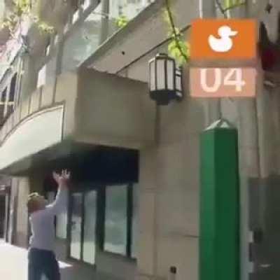 Evil man excitedly throws 11 baby ducks onto building