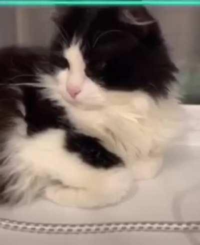 Дурацкое приложение