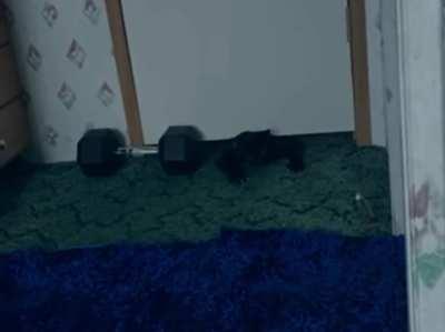 Terminator 2: Judgement Day