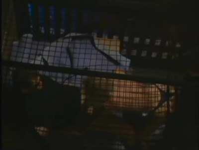 Jenna Jameson gettin smashed in a cage