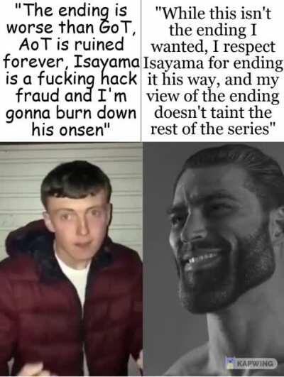 average emotionally immature fan vs average opinion respecting enjoyer