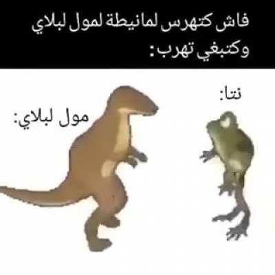 Authorities say that they are not allowed in their homes