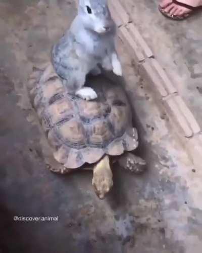 This Is How The Story Ends